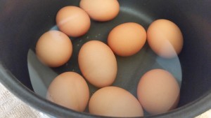 eggs in water