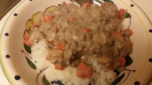 cream of mushroom ground beef - plated closeup
