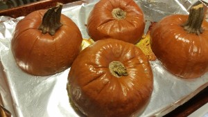 pumpkin - done baking