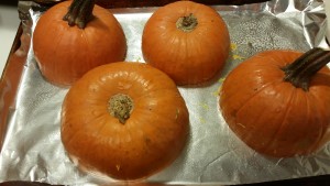 pumpkin - ready to bake