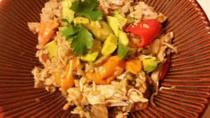 southwest chicken and rice - plated -1