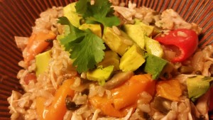 southwest chicken and rice - plated close-up