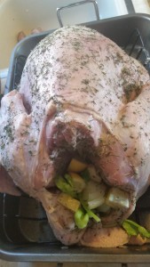 turkey - back cavity filled (2)