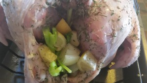 turkey - back cavity filled
