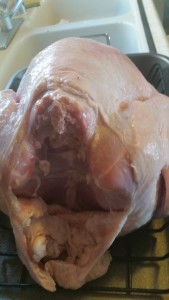 turkey - back cavity open