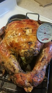 turkey - cooked front cavity