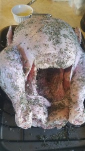 turkey - front cavity - buttered and spiced
