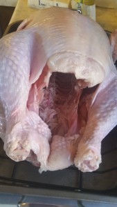 turkey - front cavity open