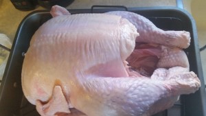 turkey - in roasting pan