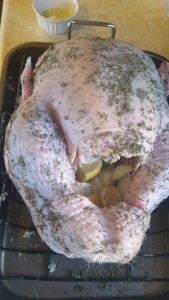turkey - ready to roast - front