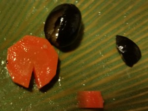 cream cheese olive penguins - cut carrot and olive