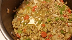 turkey and lentils - pre cooking