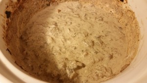 beef stroganoff - almost finished