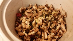 beef stroganoff - before cooking