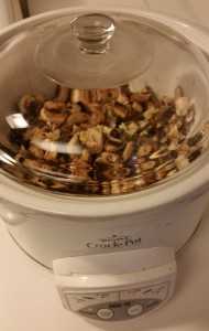 beef stroganoff - in slow cooker