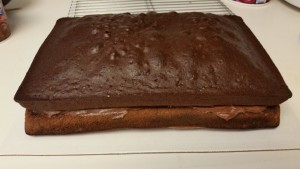 chocolate mint cake - cakes layers