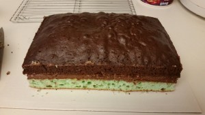 chocolate mint cake - trimmed