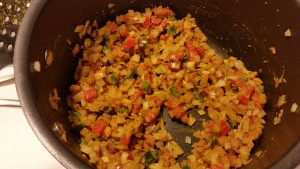 palak paneer - veg with spice